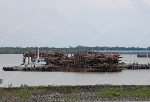 SK04_08022017_KAYU_BALAK