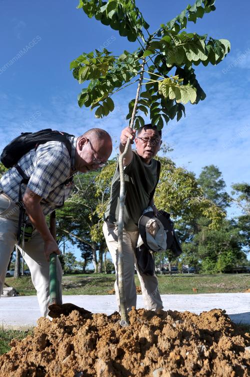 SK04_08072013_TANAM_POKOK