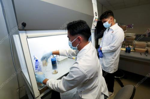 TEMU BUAL PROSES MAKANAN IKAN