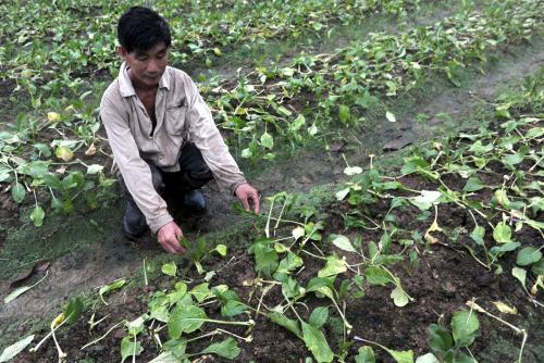 SK04_10012014_SAYUR