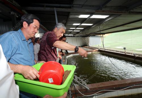 DATUK SERI DR AHMAD ZAHID HAMIDI