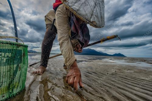 PENCARI AMBAL DI KAMPUNG BUNTAL