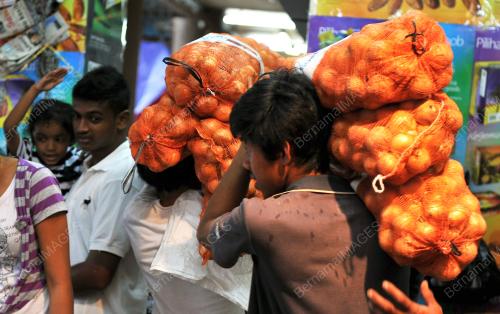 BAWANG BESAR