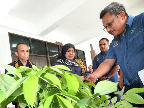 DATUK RUBIAH WANG