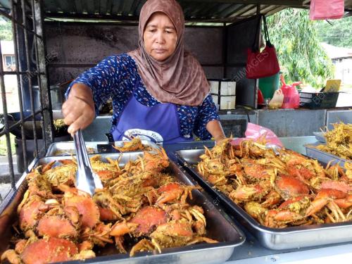 SK04_15012017_KETAM