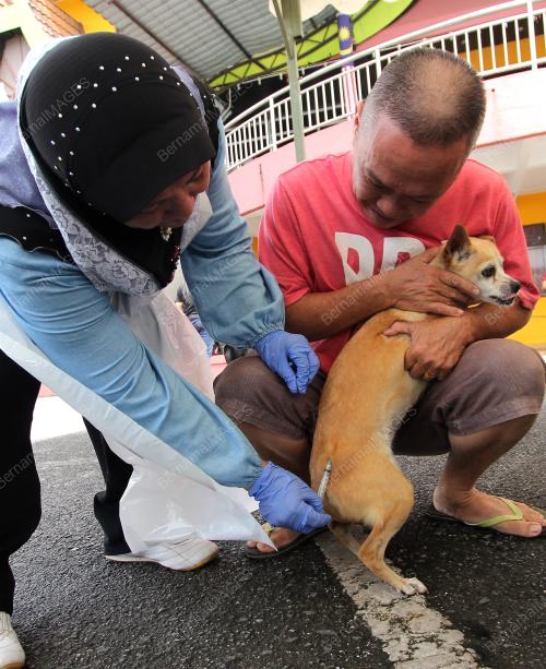SK04_15072017_CEGAH_ANJING_GILA_BN201707149675