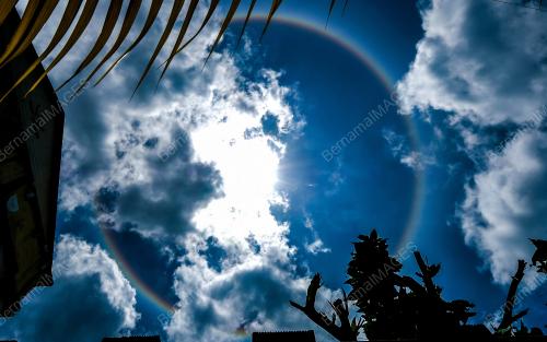 SK04_17022018_HALO
