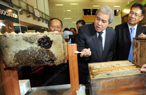 SK04_18042015_SARAWAK_TIMBER