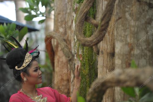 SK04_18052017_AKASIA
