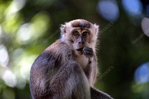 SK04_19062019_TAMAN_NEGARA