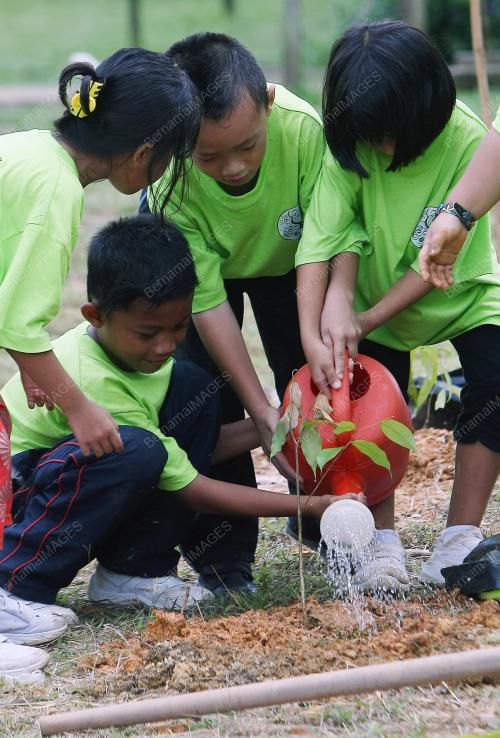 GREEN WAVE 2011