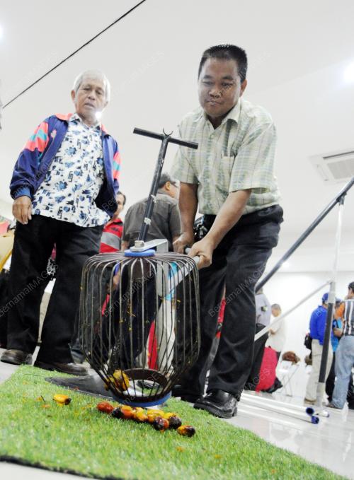 SK04_23052015_PEKEBUN_SAWIT