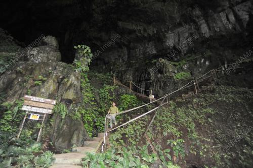 GUA PARI-PARI