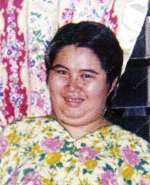 SITI ZARINAH AMIR