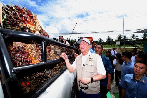 DATUK SERI FADILLAH YUSOF