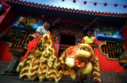 TARIAN SINGA