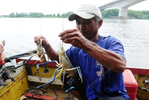 SK04_28042016_UDANG