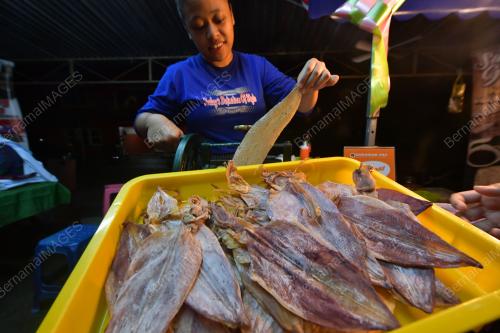 DAYANG ZUNIKA ABANG ADENAN