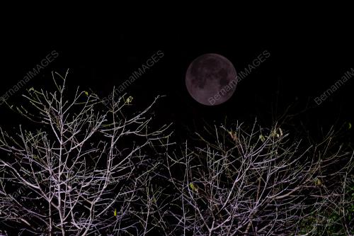 SK04_28072018_GERHANA_BULAN
