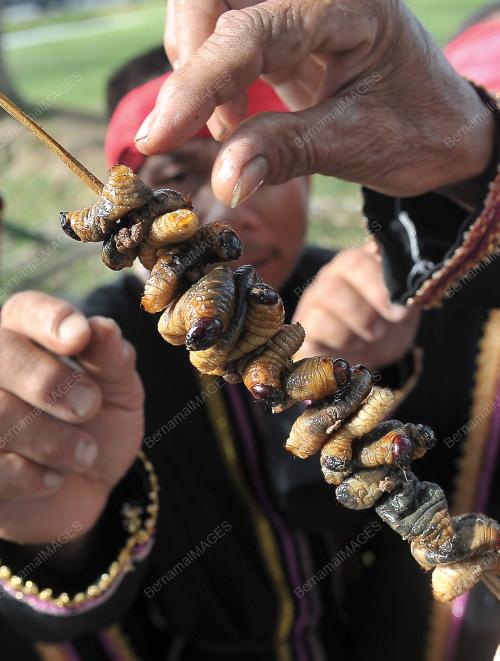 SK04_29062013_ULAT_MULUNG