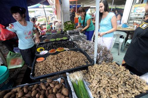 SK04_31122014_PASAR_LACHAU