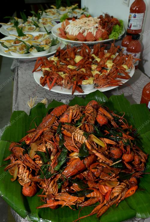UDANG_KARA