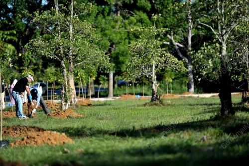 SK05_08072013_TANAM_POKOK