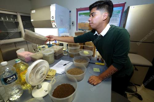 TEMU BUAL PROSES MAKANAN IKAN