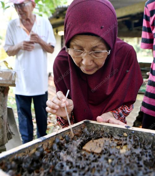 SK05_18092018_MADU_KELULUT