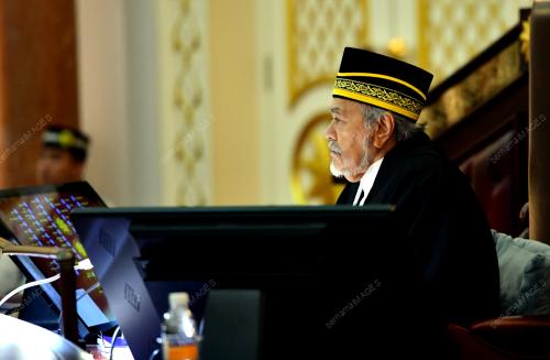 TAN SRI MOHD ASFIA AWANG NASSAR