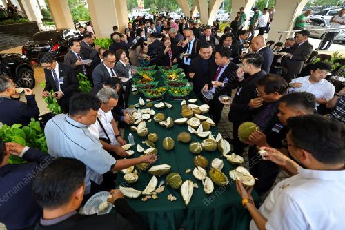 KEMPEN MAKAN BUAH-BUAHAN