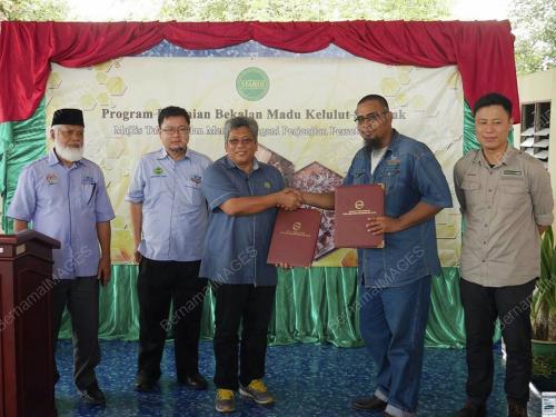 SK05_21022017_MADU_KELULUT