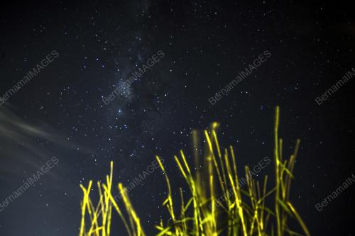 SK05_22082017_BIMA_SAKTI