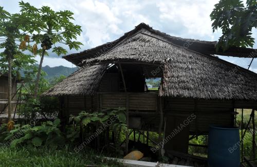 SK05_24112013_TRADISIONAL