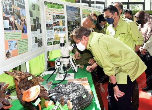 TAN SRI ABANG JOHARI TUN OPENG