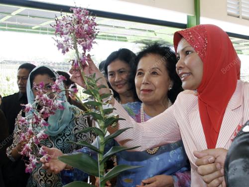 TUANKU NUR ZAHIRAH