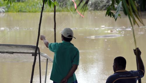 SK06_04102016_BUAYA