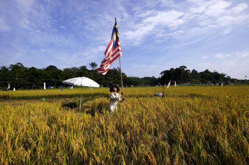 SK06_09082018_JALUR_GEMILANG