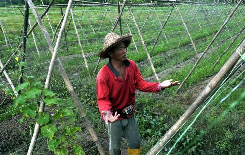 SK06_10012014_SAYUR