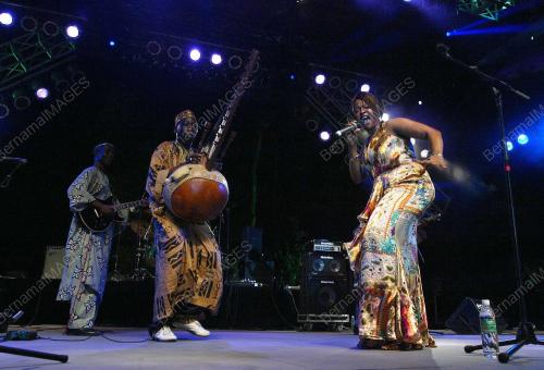 FESTIVAL MUZIK