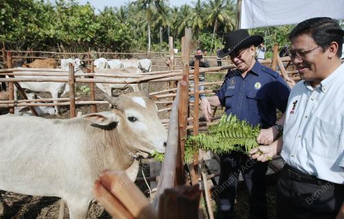 SK06_13102013_LEMBU