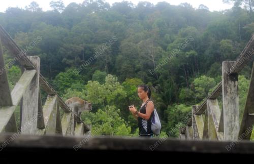 SK06_14062016_TMN_NEGARA_BAKO