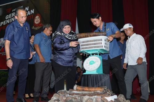 DATUK RUBIAH WANG