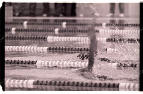SUKAN BERENANG