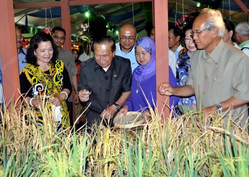 TUN ABANG MUHAMMAD SALAHUDDIN