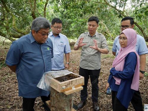 SK06_21022017_MADU_KELULUT