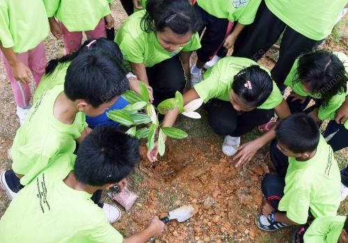 GREEN WAVE 2011
