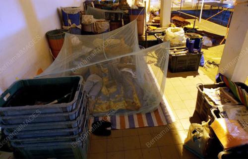 SK06_23062012_PASAR_SATOK