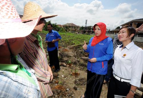 SK07_04022013_LADANG