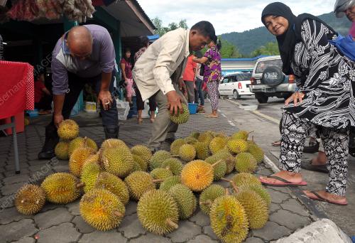 SK07_05022017_PASAR
